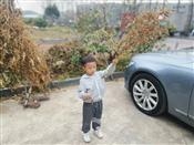 人气：201  上传时间：2021/11/4 13:25:01