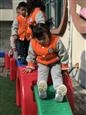 人气：234  上传时间：2021/11/10 14:29:36
