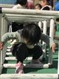 人气：218  上传时间：2021/11/10 14:33:46