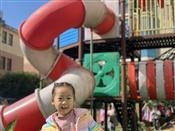人气：206  上传时间：2021/11/10 15:41:13