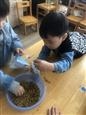 人气：222  上传时间：2021/11/11 14:30:03
