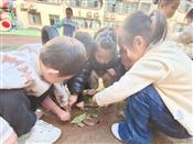 人气：209  上传时间：2021/11/12 14:22:14