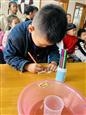 人气：202  上传时间：2021/11/12 16:33:48