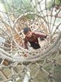 人气：207  上传时间：2021/11/17 15:07:31