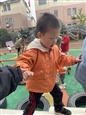 人气：178  上传时间：2021/11/19 14:55:06