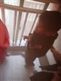 人气：199  上传时间：2021/11/23 13:06:39