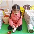 人气：215  上传时间：2021/12/3 14:07:59