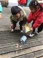 人气：191  上传时间：2021/12/3 16:20:51