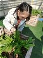 人气：175  上传时间：2021/12/10 11:34:31
