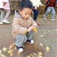 人气：209  上传时间：2021/12/16 13:13:29