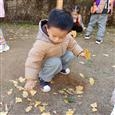 人气：170  上传时间：2021/12/16 13:13:33