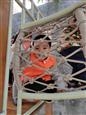 人气：189  上传时间：2021/12/17 15:25:35