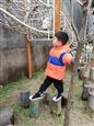人气：184  上传时间：2021/12/17 15:25:45