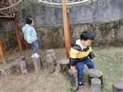 人气：149  上传时间：2021/12/17 15:25:53