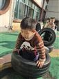 人气：189  上传时间：2021/12/24 16:07:41