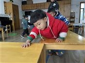 人气：211  上传时间：2021/12/30 12:09:40