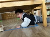 人气：217  上传时间：2021/12/30 12:09:48