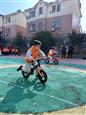 人气：212  上传时间：2022/1/12 15:54:51