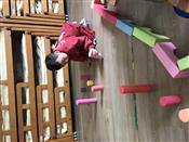 人气：135  上传时间：2022/3/18 13:10:25