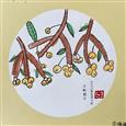 人气：107  上传时间：2022/5/13 14:00:32