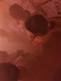 人气：119  上传时间：2022/9/30 13:53:02