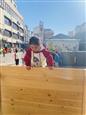 人气：86  上传时间：2022/10/10 17:47:45