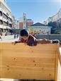 人气：114  上传时间：2022/10/10 17:48:05