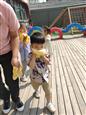 人气：224  上传时间：2022/10/18 14:05:51