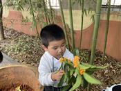 人气：207  上传时间：2022/10/19 13:53:01