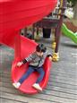 人气：196  上传时间：2022/10/21 16:08:07