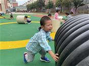 人气：151  上传时间：2022/10/21 12:51:56