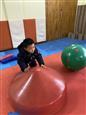人气：126  上传时间：2023/2/8 16:15:53