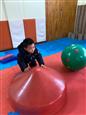 人气：114  上传时间：2023/2/13 10:27:44