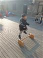 人气：101  上传时间：2023/2/24 19:52:35
