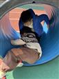 人气：105  上传时间：2023/3/10 10:20:49