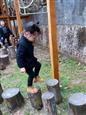 人气：108  上传时间：2023/3/16 7:38:13