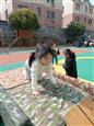 人气：100  上传时间：2023/3/17 14:20:47