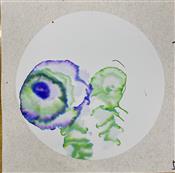 人气：124  上传时间：2023/3/31 16:01:35