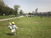 人气：99  上传时间：2023/4/11 10:04:43