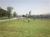 人气：99  上传时间：2023/4/11 10:04:48