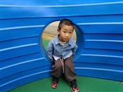 人气：130  上传时间：2023/5/11 10:25:37