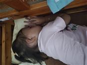 人气：122  上传时间：2023/9/4 16:20:53