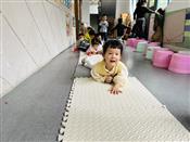 人气：112  上传时间：2023/10/11 16:10:39