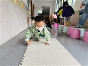人气：113  上传时间：2023/10/11 16:10:51