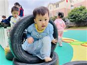 人气：117  上传时间：2023/10/11 16:11:57