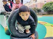 人气：112  上传时间：2023/10/11 16:12:01