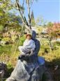 人气：105  上传时间：2023/11/10 15:37:01