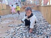 人气：109  上传时间：2023/11/10 16:09:36