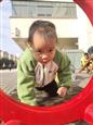 人气：109  上传时间：2023/11/16 16:03:46