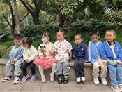 人气：311  上传时间：2023/11/30 15:50:28